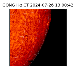 gong - 2024-07-26T13:00:42