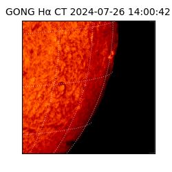 gong - 2024-07-26T14:00:42