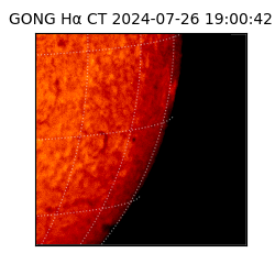 gong - 2024-07-26T19:00:42