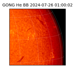 gong - 2024-07-26T01:00:02