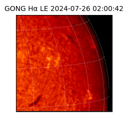 gong - 2024-07-26T02:00:42