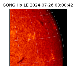 gong - 2024-07-26T03:00:42