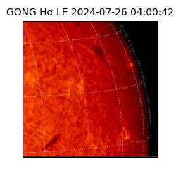 gong - 2024-07-26T04:00:42