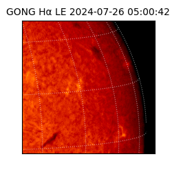 gong - 2024-07-26T05:00:42