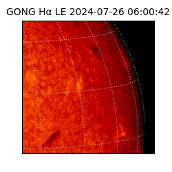 gong - 2024-07-26T06:00:42