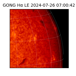 gong - 2024-07-26T07:00:42