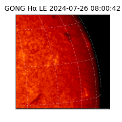 gong - 2024-07-26T08:00:42