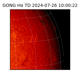 gong - 2024-07-26T10:00:22