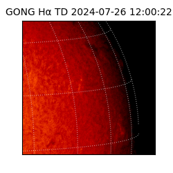 gong - 2024-07-26T12:00:22