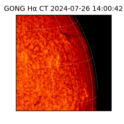 gong - 2024-07-26T14:00:42