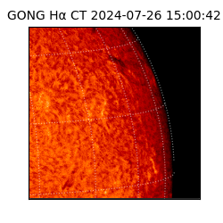 gong - 2024-07-26T15:00:42