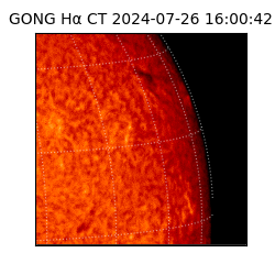 gong - 2024-07-26T16:00:42