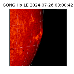 gong - 2024-07-26T03:00:42