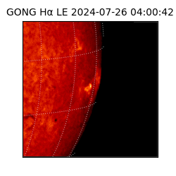 gong - 2024-07-26T04:00:42