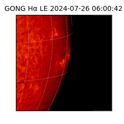 gong - 2024-07-26T06:00:42