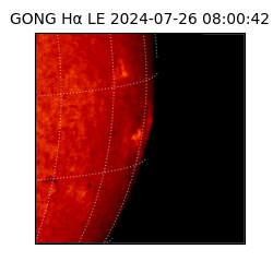 gong - 2024-07-26T08:00:42