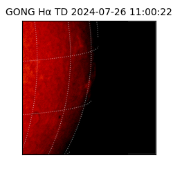 gong - 2024-07-26T11:00:22