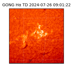 gong - 2024-07-26T09:01:22