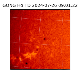 gong - 2024-07-26T09:01:22