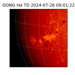 gong - 2024-07-26T09:01:22