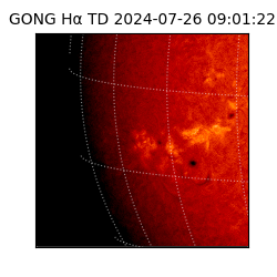 gong - 2024-07-26T09:01:22