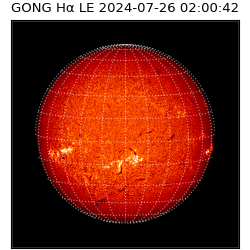 gong - 2024-07-26T02:00:42