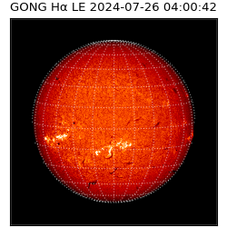 gong - 2024-07-26T04:00:42