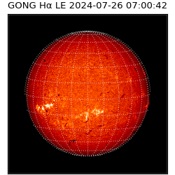 gong - 2024-07-26T07:00:42
