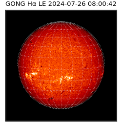 gong - 2024-07-26T08:00:42