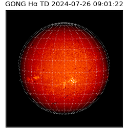 gong - 2024-07-26T09:01:22