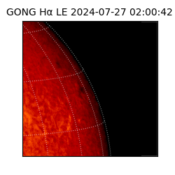 gong - 2024-07-27T02:00:42