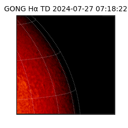 gong - 2024-07-27T07:18:22