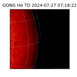 gong - 2024-07-27T07:18:22