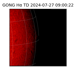 gong - 2024-07-27T09:00:22