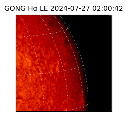 gong - 2024-07-27T02:00:42