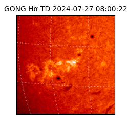 gong - 2024-07-27T08:00:22