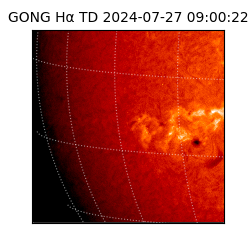 gong - 2024-07-27T09:00:22