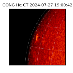 gong - 2024-07-27T19:00:42