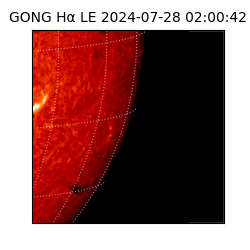 gong - 2024-07-28T02:00:42