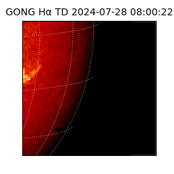 gong - 2024-07-28T08:00:22