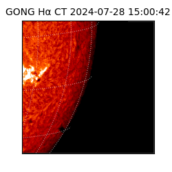 gong - 2024-07-28T15:00:42