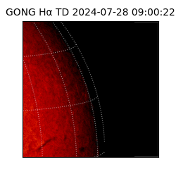 gong - 2024-07-28T09:00:22