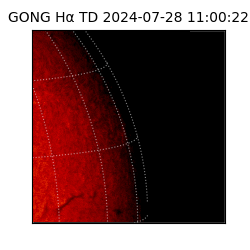 gong - 2024-07-28T11:00:22