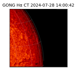 gong - 2024-07-28T14:00:42