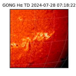 gong - 2024-07-28T07:18:22