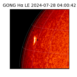 gong - 2024-07-28T04:00:42