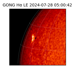 gong - 2024-07-28T05:00:42