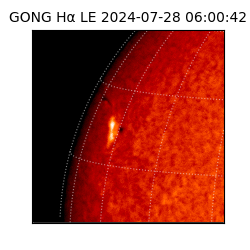 gong - 2024-07-28T06:00:42