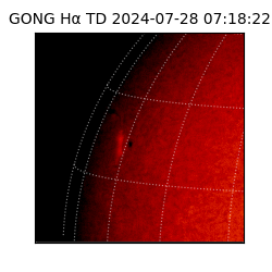 gong - 2024-07-28T07:18:22