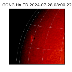 gong - 2024-07-28T08:00:22